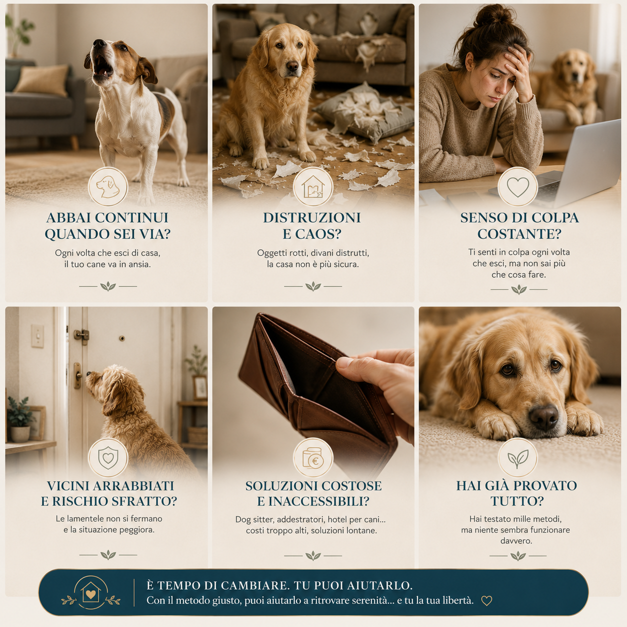 Cane sereno a casa